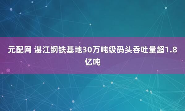 元配网 湛江钢铁基地30万吨级码头吞吐量超1.8亿吨