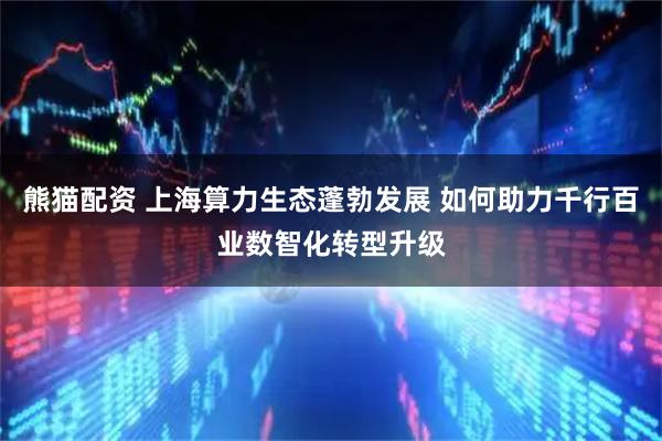 熊猫配资 上海算力生态蓬勃发展 如何助力千行百业数智化转型升级