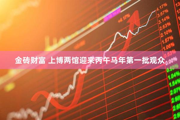 金砖财富 上博两馆迎来丙午马年第一批观众