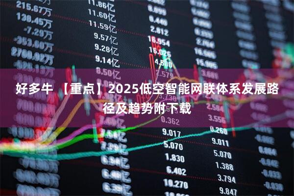 好多牛 【重点】2025低空智能网联体系发展路径及趋势附下载